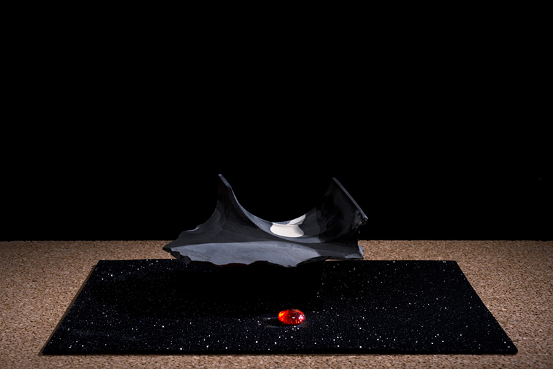 Pantoufle et Cosmos, photographies, Victor ANDRÉ