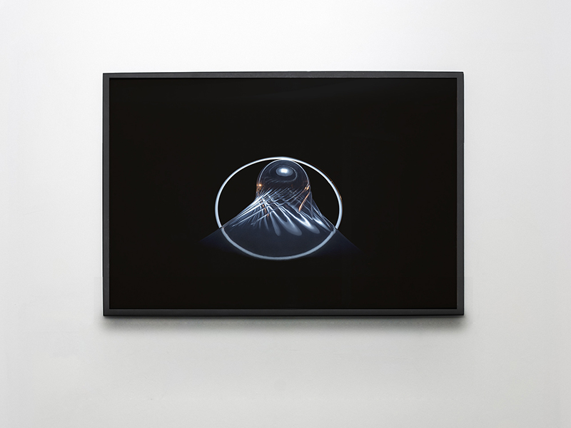 Pantoufle et Cosmos, photographies, Victor ANDRÉ