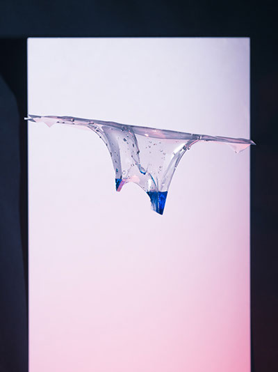 Pantoufle et Cosmos, photographies, Victor ANDRÉ